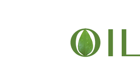 AMOIL Consultants